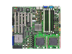 DSBV-D.jpg
